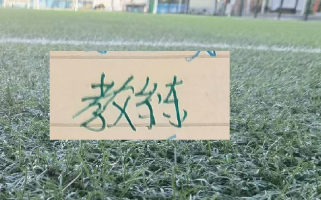 爱游戏-2025赛季北京国安的塞蒂恩+拉米罗 算是成功的吗？